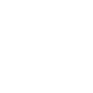 LWIS Logo